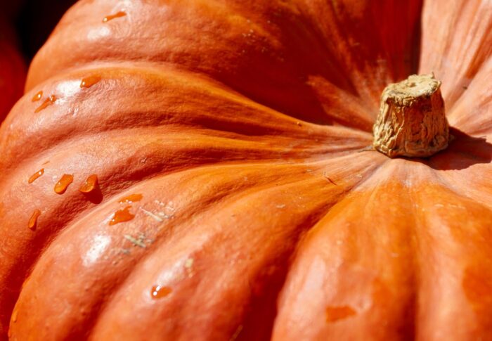 かぼちゃの栄養素