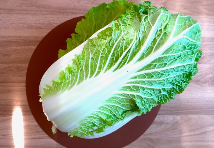 白菜には栄養がない？！冬野菜の王様・白菜の栄養素について紹介！